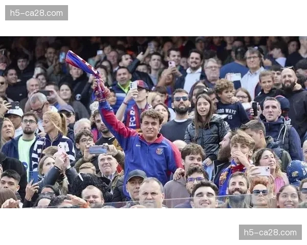 比赛因球迷向场内投掷杂物中断十分钟 比赛因球迷向场内投掷杂物中断十分钟